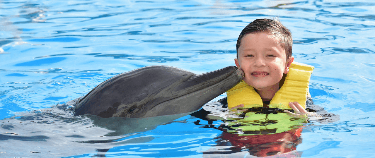 enfant avec un dauphin