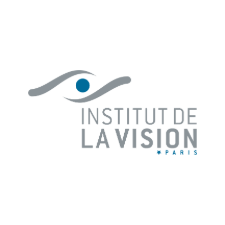 logo Institut de la Vision