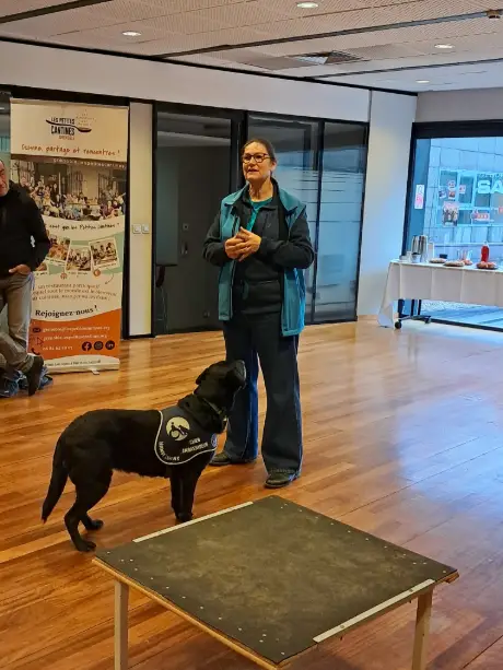 le chien pampa regarde sa maîtresse instructrice