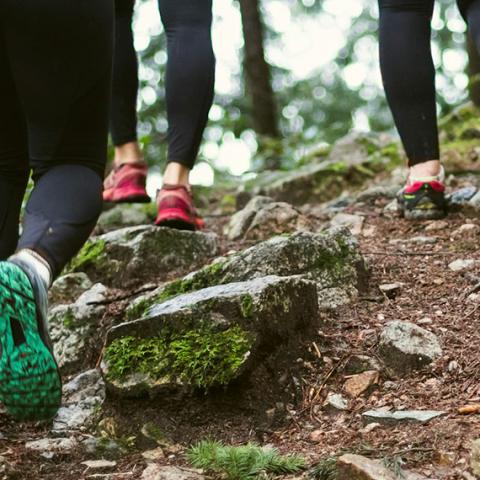 Pieds de randonneurs en pleine forêt